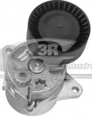 3RG 13507 - Natezač remena, klinasti rebrasti remen  www.molydon.hr