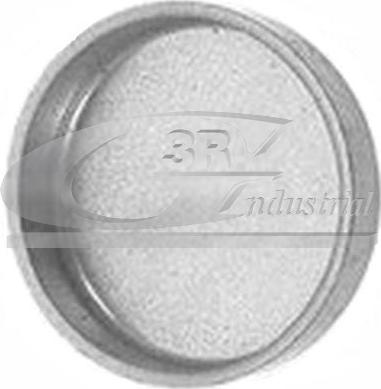 3RG 84017 - Zapusac rezervoara za antifriz www.molydon.hr