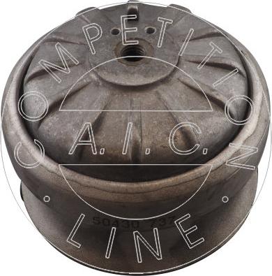 AIC 50430 - Nosač motora www.molydon.hr