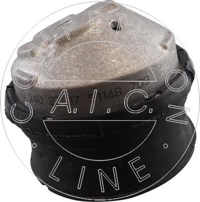 AIC 51148 - Nosač motora www.molydon.hr