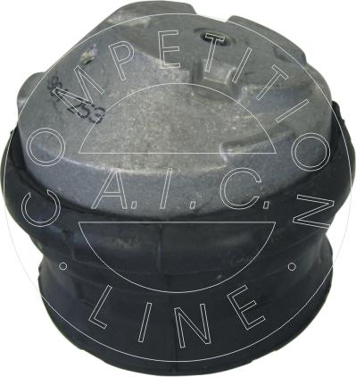 AIC 53984 - Nosač motora www.molydon.hr