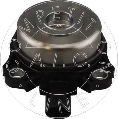 AIC 57615 - Centralni magnet, podešavanje bregastog vratila www.molydon.hr