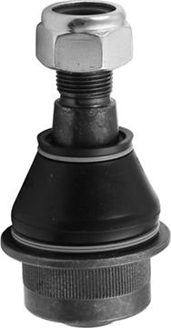 AISIN JBJMB-008 - Gornja/donja kugla www.molydon.hr