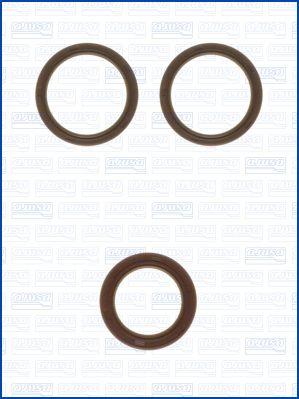 Ajusa 78010800 - Komplet Brtvenih prstenova (semeringa), motor www.molydon.hr