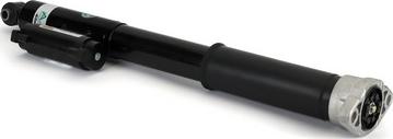 Arnott SK-3390 - Amortizer www.molydon.hr