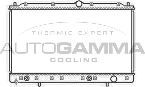 Autogamma 104291 - Hladnjak, hladjenje motora www.molydon.hr