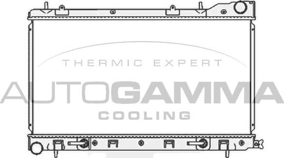 Autogamma 104706 - Hladnjak, hladjenje motora www.molydon.hr