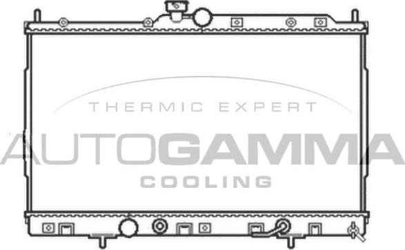 Autogamma 105052 - Hladnjak, hladjenje motora www.molydon.hr