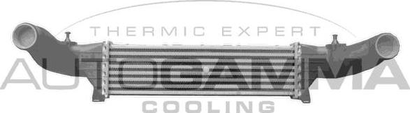Autogamma 102017 - Intercooler, hladnjak www.molydon.hr