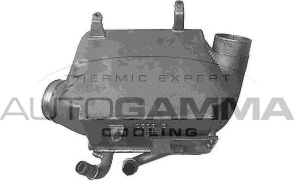 Autogamma 107917 - Intercooler, hladnjak www.molydon.hr