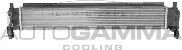 Autogamma 107718 - Hladnjak, hladjenje motora www.molydon.hr