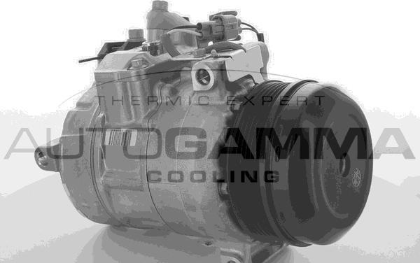 Autogamma 118602 - Kompresor, klima-Uređaj www.molydon.hr
