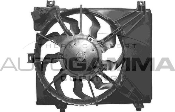 Autogamma GA228000 - Ventilator, hladjenje motora www.molydon.hr