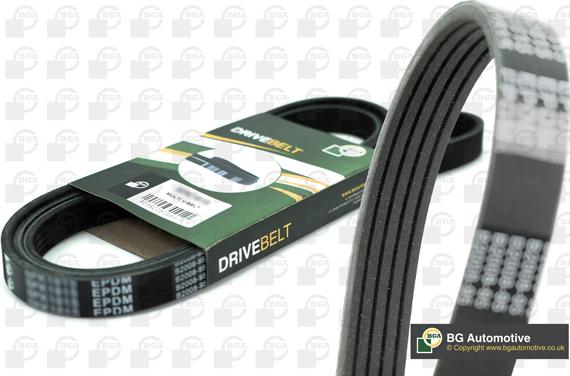 BGA 5PK1256 - Klinasti rebrasti remen  www.molydon.hr