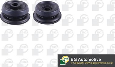 BGA SM5617 - Nosač amortizera www.molydon.hr