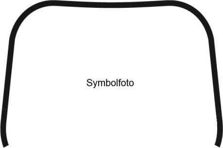 BINDER A61REN7274 - Ukrasna/zaštitna lajsna, prednji vjetrobran www.molydon.hr