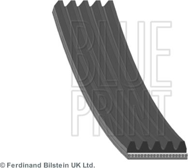 Blue Print AD05R1110 - Klinasti rebrasti remen  www.molydon.hr