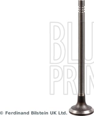 Blue Print ADBP610034 - Usisni ventil www.molydon.hr
