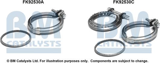 BM Catalysts FK92530 - Garnitura za montažu, katalizator www.molydon.hr