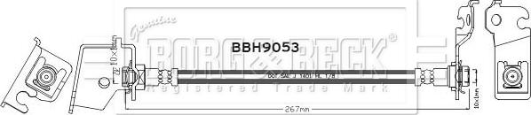 Borg & Beck BBH9053 - Kočiono crijevo, lajtung www.molydon.hr