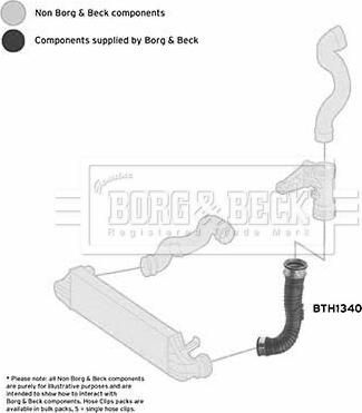 Borg & Beck BTH1340 - Crijevo interkulera www.molydon.hr