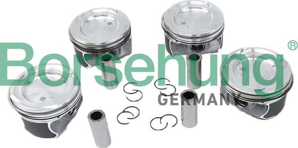 Borsehung B11149 - Komplet klipnih prstenova www.molydon.hr