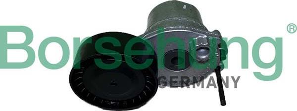 Borsehung B12466 - Natezač remena, klinasti rebrasti remen  www.molydon.hr