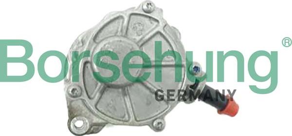 Borsehung B12527 - Vakuum pumpa, kočioni sistem www.molydon.hr