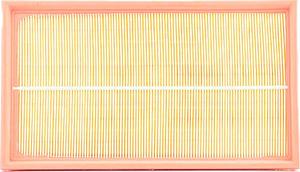 BSG BSG 60-135-009 - Filter za zrak www.molydon.hr