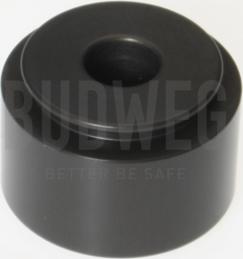 Budweg Caliper 234430 - Klip, kočione čeljusti www.molydon.hr