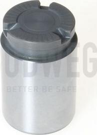 Budweg Caliper 233429 - Klip, kočione čeljusti www.molydon.hr