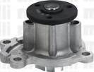 Cifam 824-1065 - Vodena pumpa www.molydon.hr