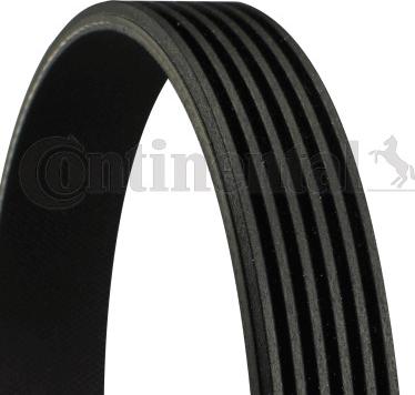 CONTINENTAL 6PK2275 - Klinasti rebrasti remen  www.molydon.hr