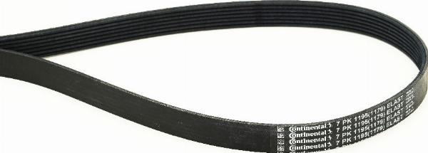 CONTINENTAL 7PK1195 ELAST - Klinasti rebrasti remen  www.molydon.hr