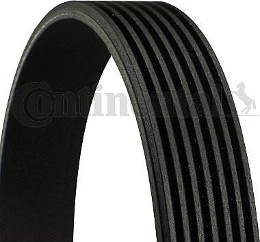 CONTINENTAL 7PK1545 - Klinasti rebrasti remen  www.molydon.hr