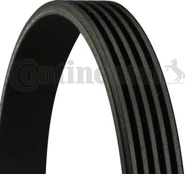 CONTINENTAL 5 PK 1245 - Klinasti rebrasti remen  www.molydon.hr