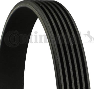 CONTINENTAL 6PK2300 - Klinasti rebrasti remen  www.molydon.hr