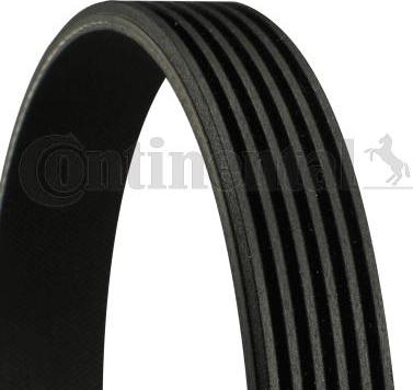 CONTINENTAL 6PK2035 - Klinasti rebrasti remen  www.molydon.hr