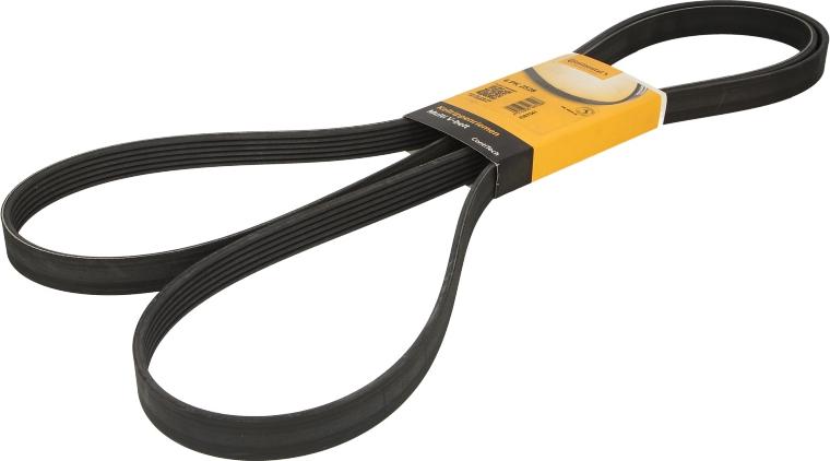 CONTINENTAL 6 PK 2528 - Klinasti rebrasti remen  www.molydon.hr