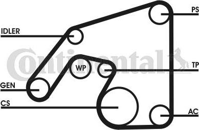 CONTINENTAL 6PK2390D1 - Garnitura klinastog rebrastog remena www.molydon.hr