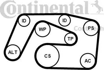CONTINENTAL 6PK2271K1 - Garnitura klinastog rebrastog remena www.molydon.hr