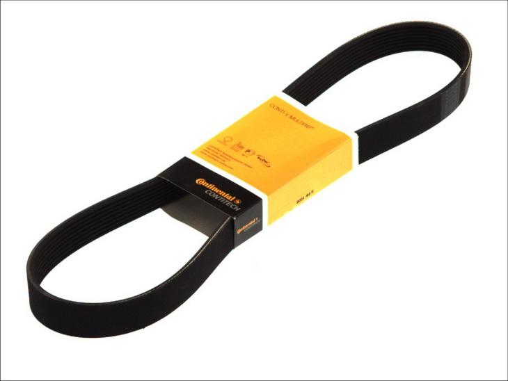 CONTINENTAL 8PK2440 - Klinasti rebrasti remen  www.molydon.hr
