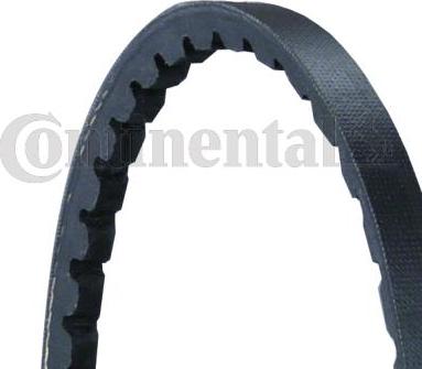 CONTINENTAL AVX10X925 - Klinasti remen www.molydon.hr
