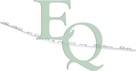Equal Quality G6063 - Ukrasna/zaštitna lajsna, Rešetka hladnjaka www.molydon.hr