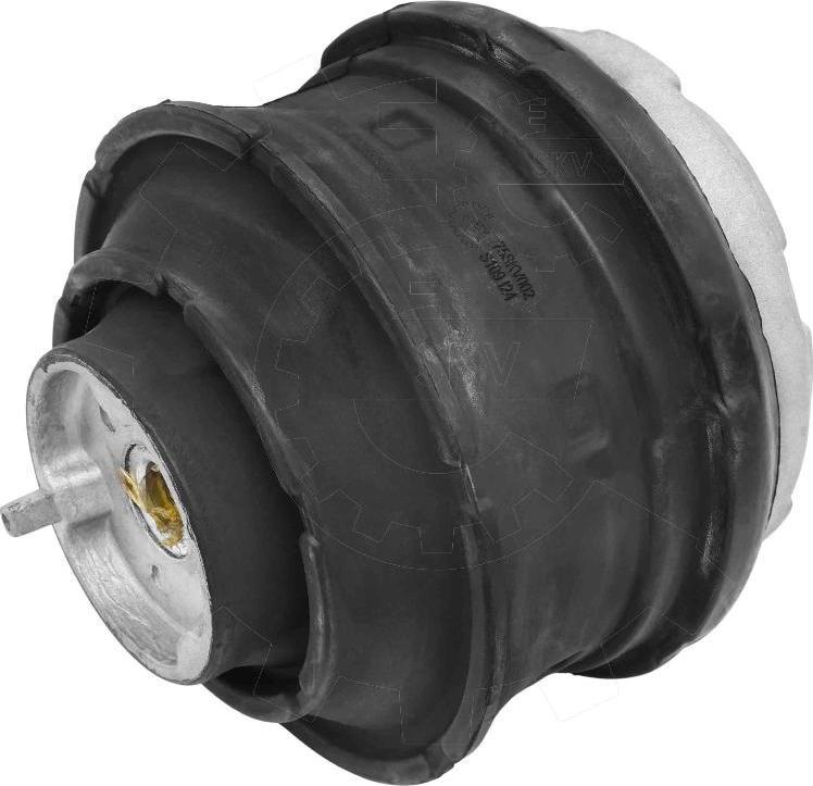 Esen SKV 75SKV002 - Nosač motora www.molydon.hr