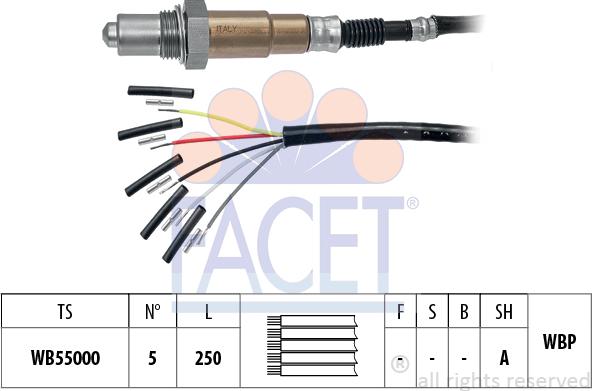 FACET 10.8555 - Lambda-sonda www.molydon.hr