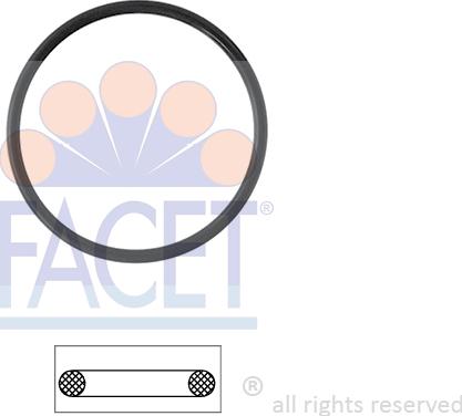 FACET 7.9527 - Brtva, termostat www.molydon.hr