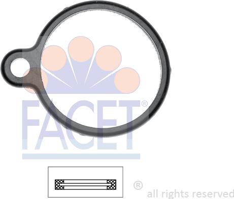 FACET 7.9651 - Brtva, termostat www.molydon.hr