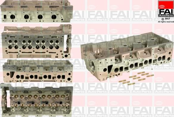 FAI AutoParts BCH041 - Glava cilindra www.molydon.hr