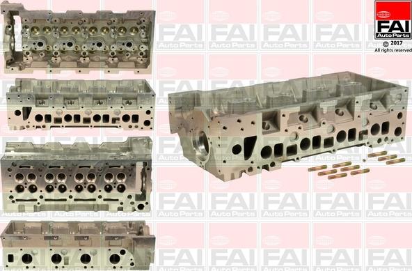FAI AutoParts BCH043 - Glava cilindra www.molydon.hr